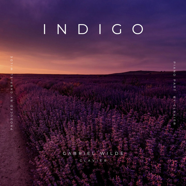 Обкладинка: Indigo — Gabriel Wilde