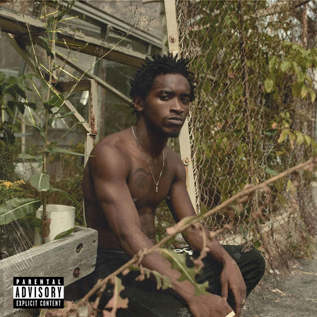 Spirit Of A Warrior cover
