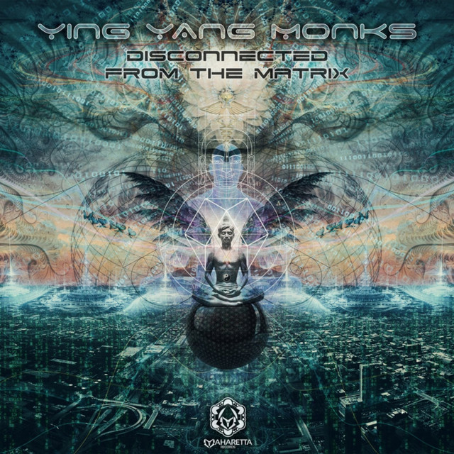 Disconnected from the Matrix cover