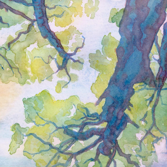 Unclouding cover art