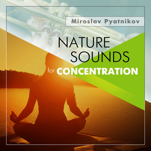 Обкладинка Miroslav Pyatnikov — Nature Sounds for Concentration