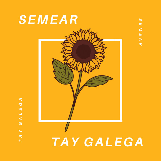 Semear