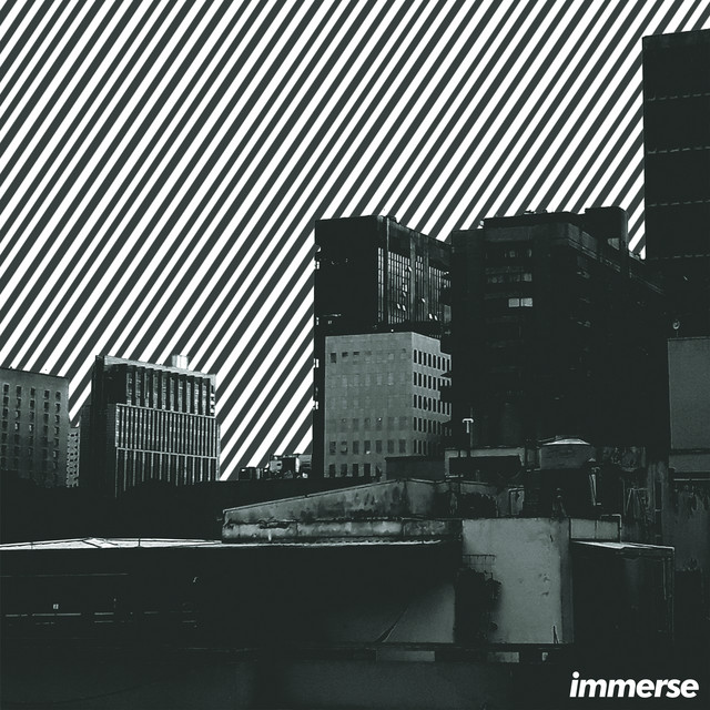 Immerse cover art