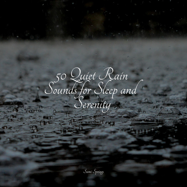 50 Quiet Rain Sounds for Sleep and Serenity - Album by Zen Meditate ...