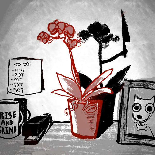 Orchid cover art