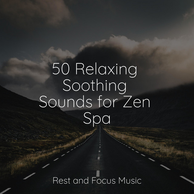 50 Relaxing Soothing Sounds for Zen Spa - Album by Guided Meditation ...