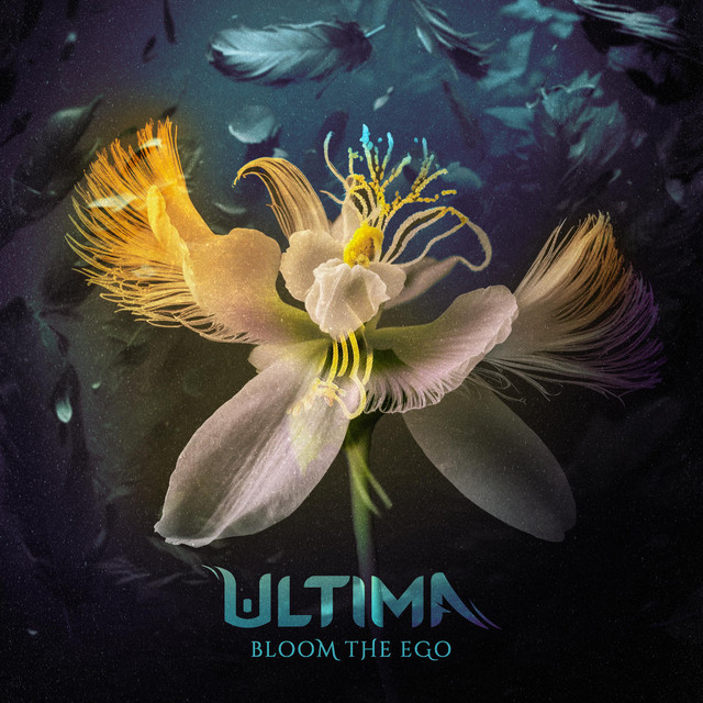 Bloom The Ego cover art