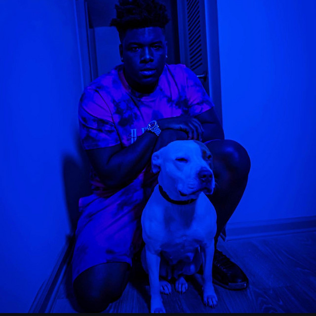 Visionz From Blo 2 cover art