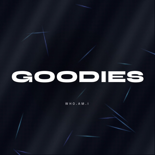 Pochette du titre Goodies