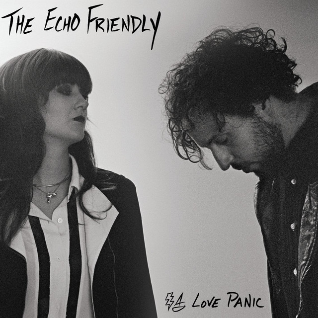 Love Panic cover art