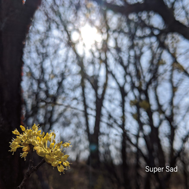 Super Sad cover art