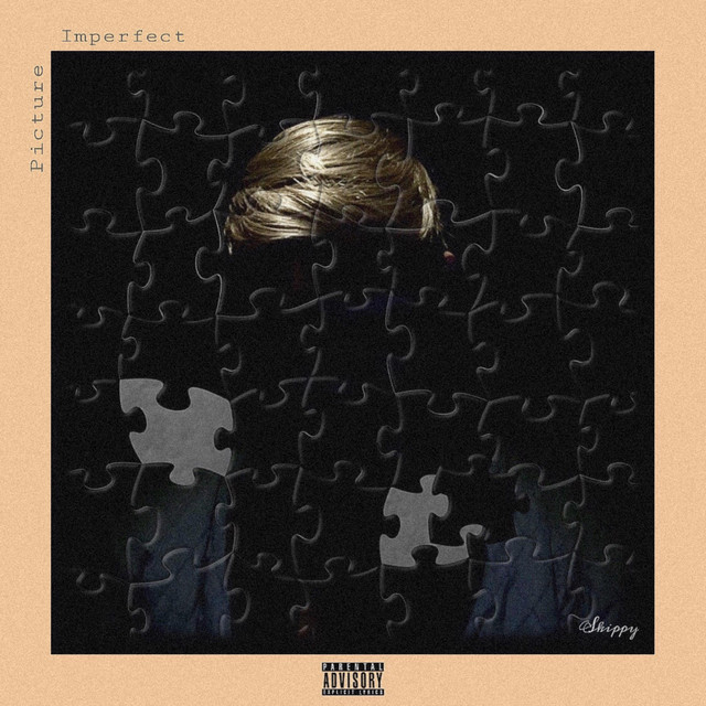 Picture Imperfect cover art