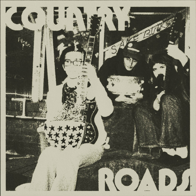 Обкладинка: Country Roads — Save Bucks