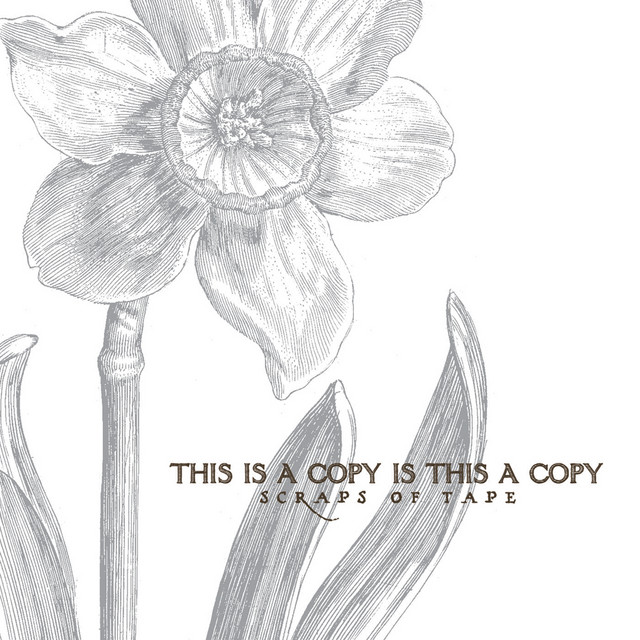 This Is A Copy Is This A Copy cover art