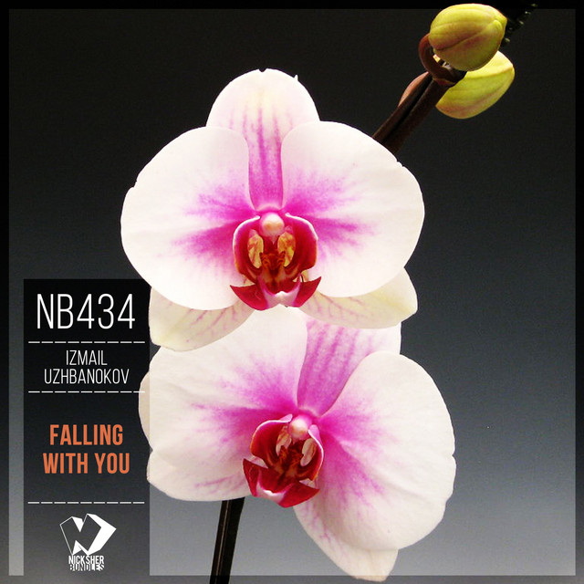 Falling with You cover art