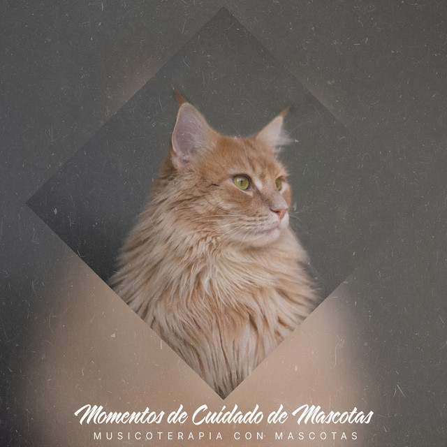 Momentos de Cuidado de Mascotas cover art
