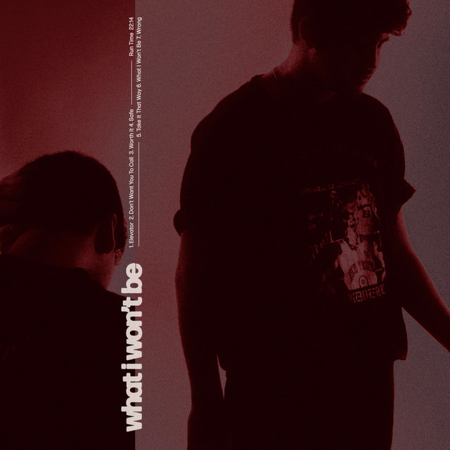 What I Won't Be cover art