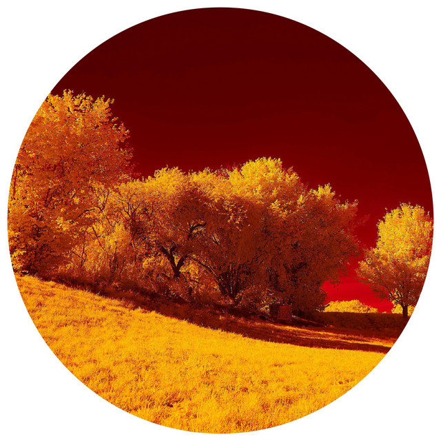 Komorebi EP cover art