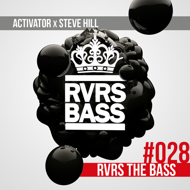 RVRS the Bass album art