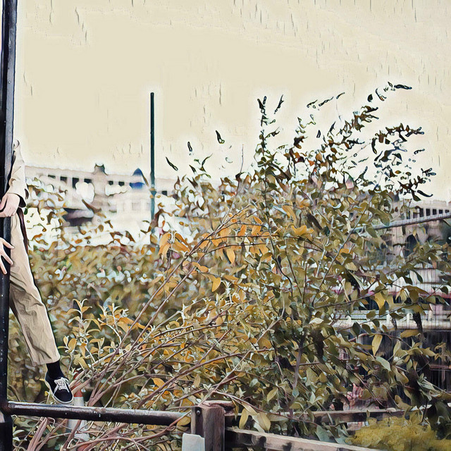 Lemon Statistic cover art
