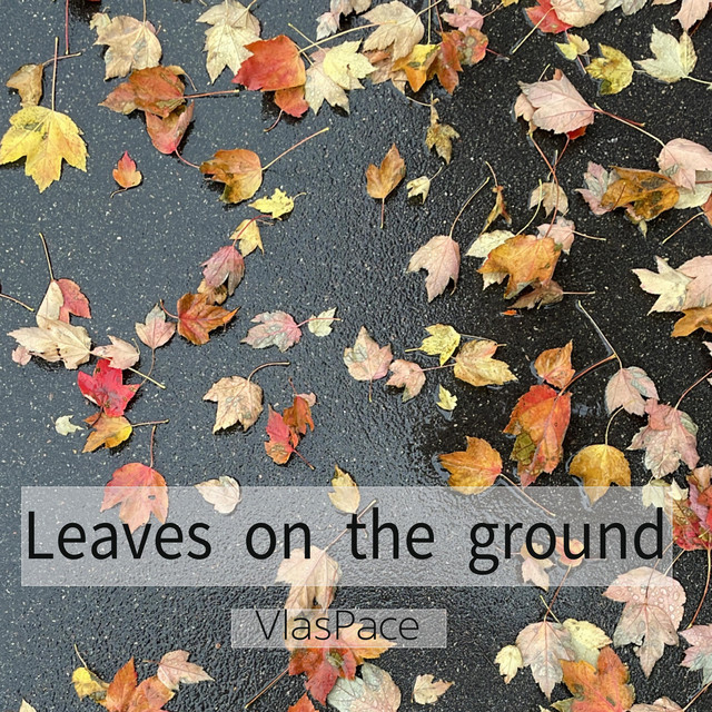 Cover art: Leaves on the ground — VlasPace