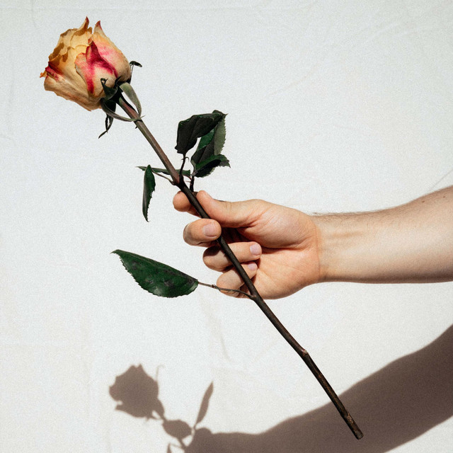 Love cover art