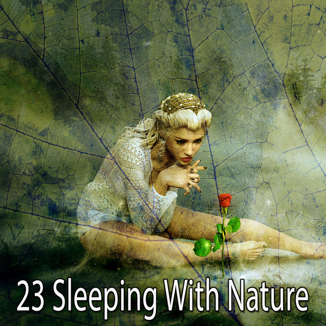 23 Sleeping With Nature - Album by Nature Sounds for Sleep and ...