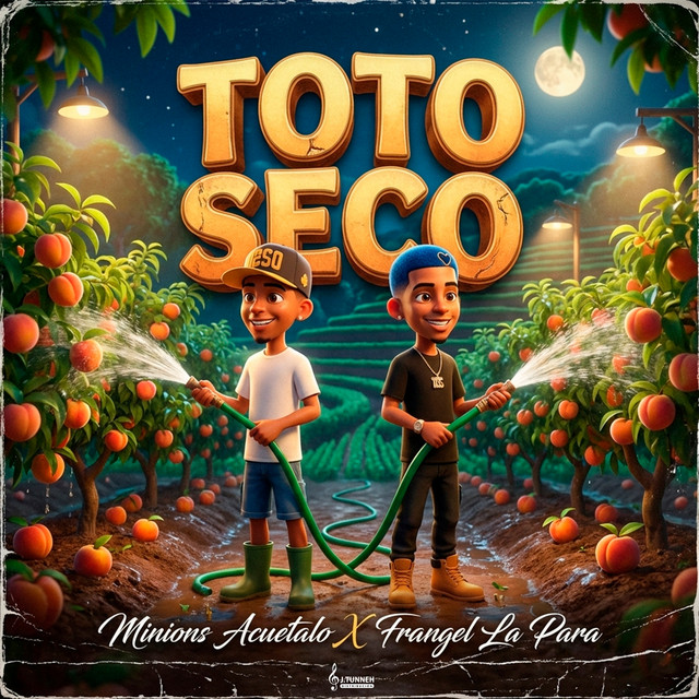 Toto Seco