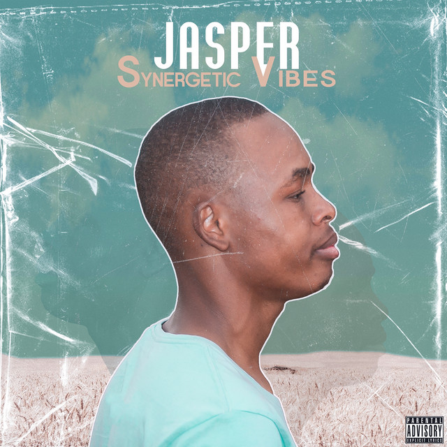Synergetic Vibes cover art
