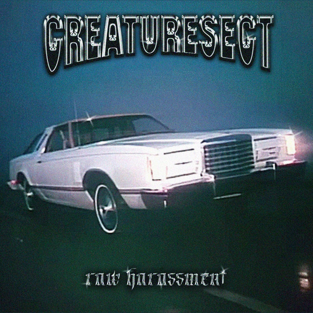 RAW HARASSMENT cover art