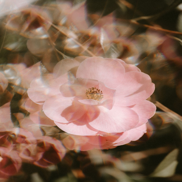 Flower music cover art