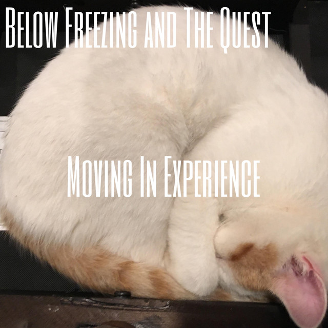 Moving In Experience cover art