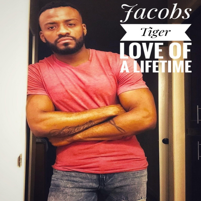 Love Of A Lifetime cover art