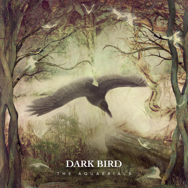 Dark Bird (single)