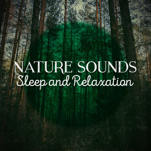 Nature Sounds Sleep and Relaxation cover art