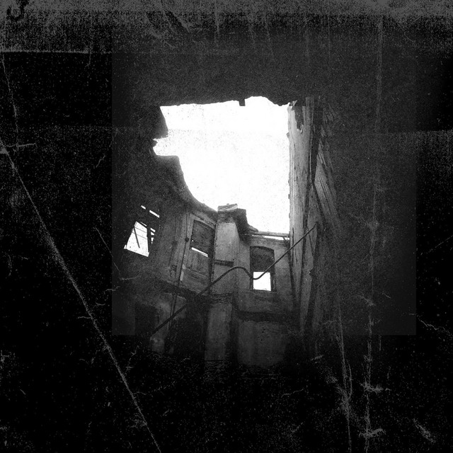 Transient cover art