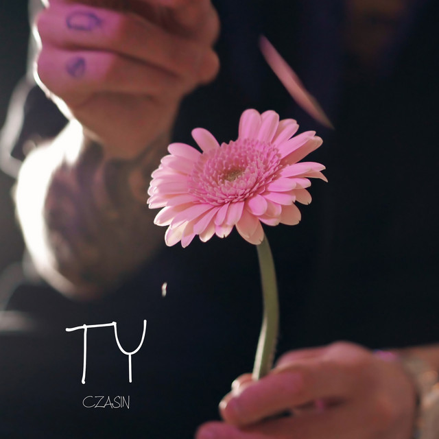 Ty cover art