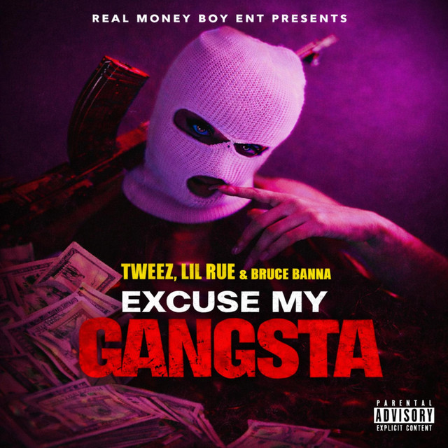 Excuse My Gangsta album image