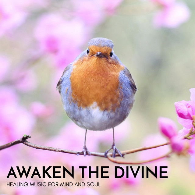 Various - Awakening～Healing Compilation Awaken the Divine - Healing Music for Mind and Soul - Compilation