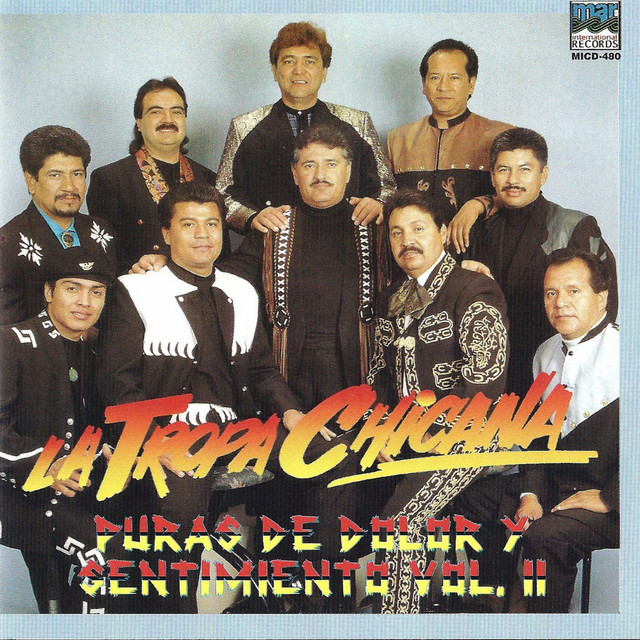 Puras De Dolor y Sentimiento, Vol. 2 cover art