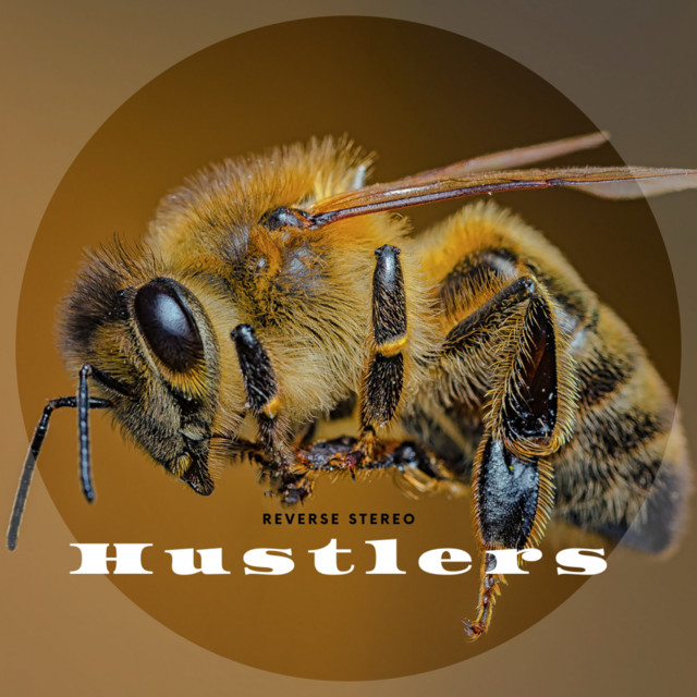 Reverse Stereo – Hustlers