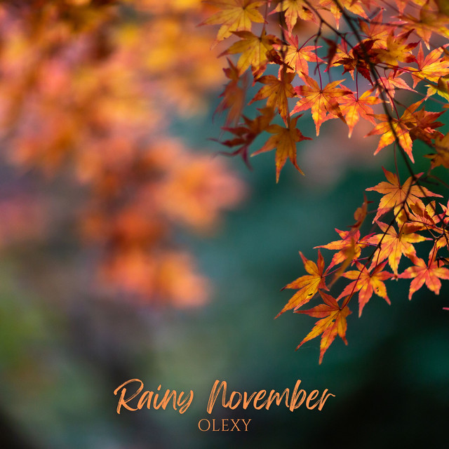 Обкладинка: Rainy November — Olexy