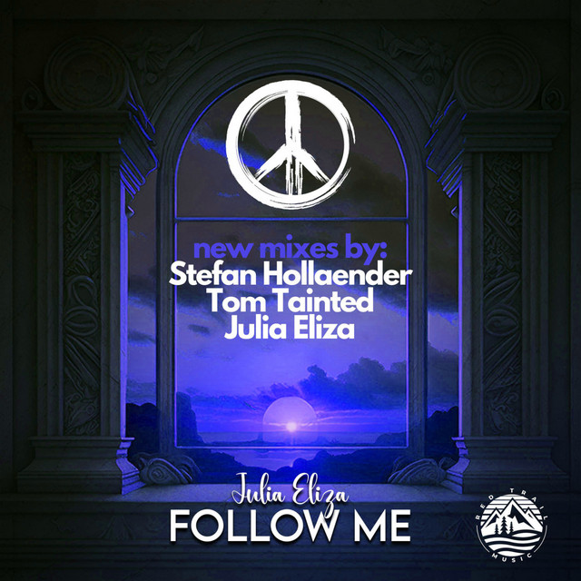 Follow Me - Tom Tainted Remix album art