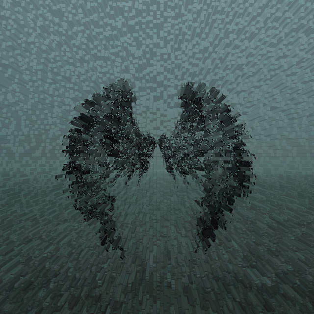 Cover art: Nerv — Follow You