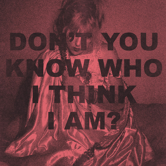Don't You Know Who I Think I Am? cover