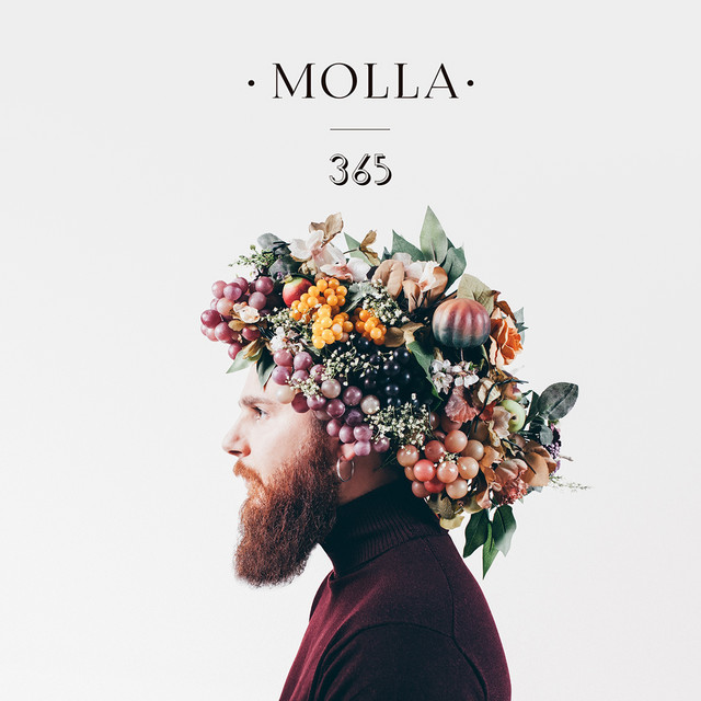 365 cover art