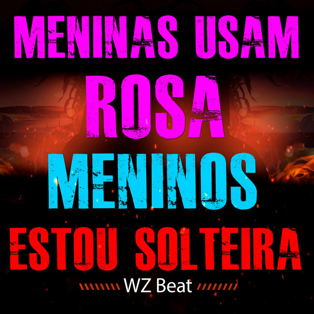 Обкладинка: Meninas Usam Rosa Meninos Estou Solteira — WZ Beat