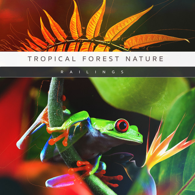 Tropical Forest Nature cover art