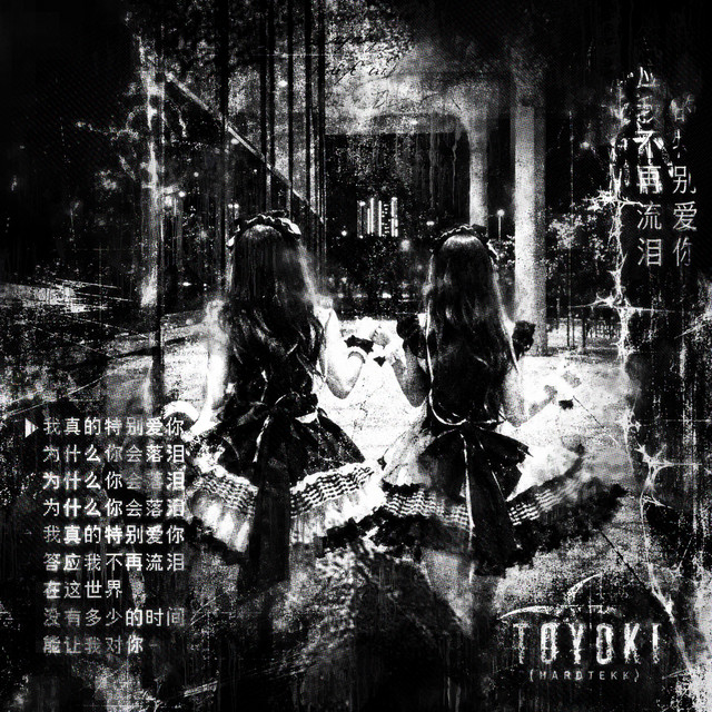 toyoki (HARDTEKK)