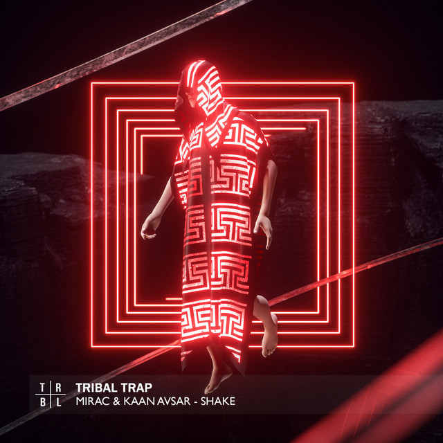 Shake cover art